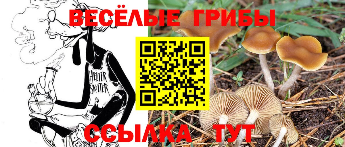 Гашиш  Кодеин  Лыткарино  МАРИХУАНА  Меф   ГАШ  APVP СК   Cocaine  Вход с VPN  АМФ кристаллы  COCAIN 